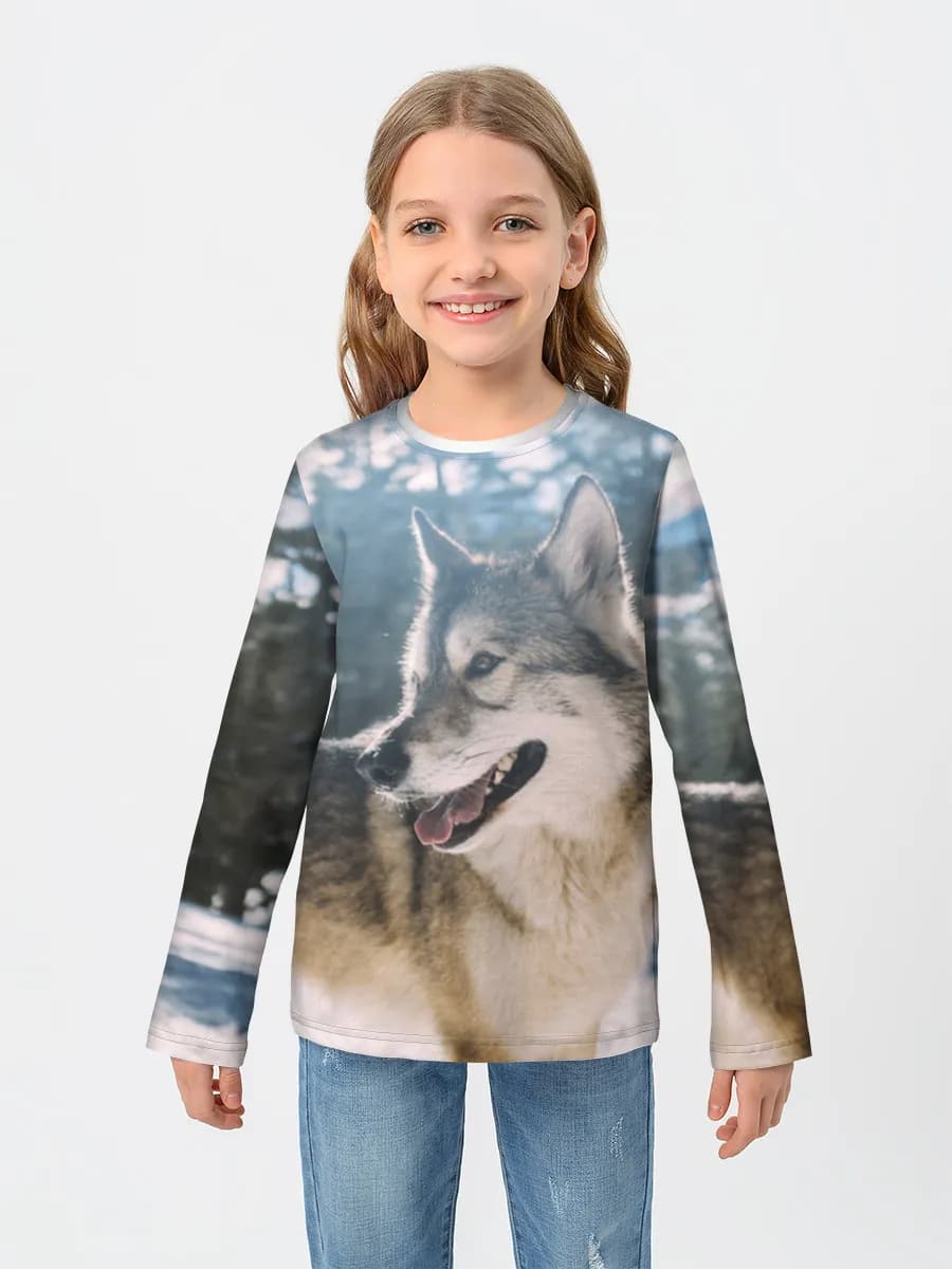 Wolf In Winter Mountains