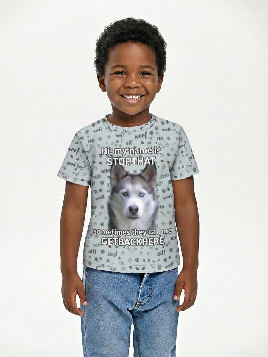 Husky Meme Energy